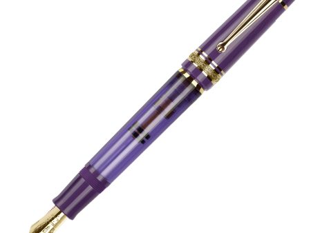 Delta Mid Size Plus Limited Edition No.8 Fountain Pen - Majestic Purple GT Supply